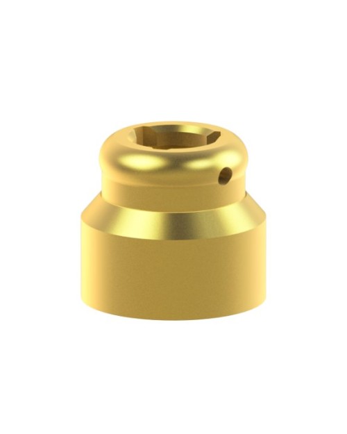 PSD Overdenture Compatible With Nobel Biocare® Multi-Unit